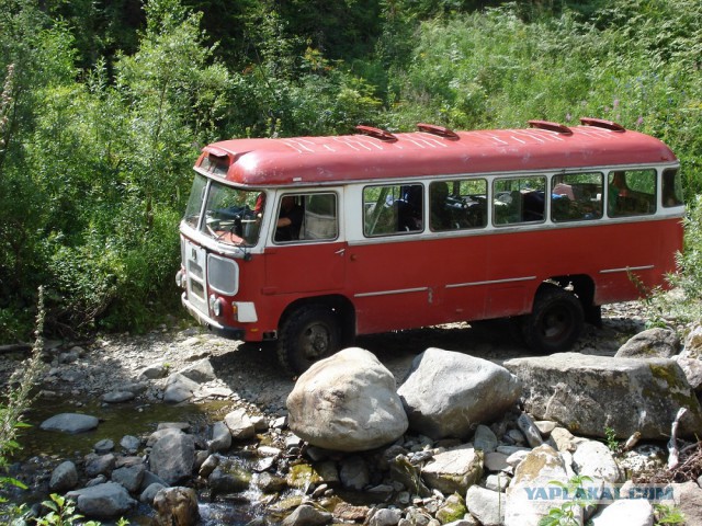 Вместо дорог: тест-драйв автобуса ПАЗ-3201С