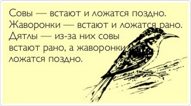 Совы! Скажем "Нет!" произволу жаворонков!