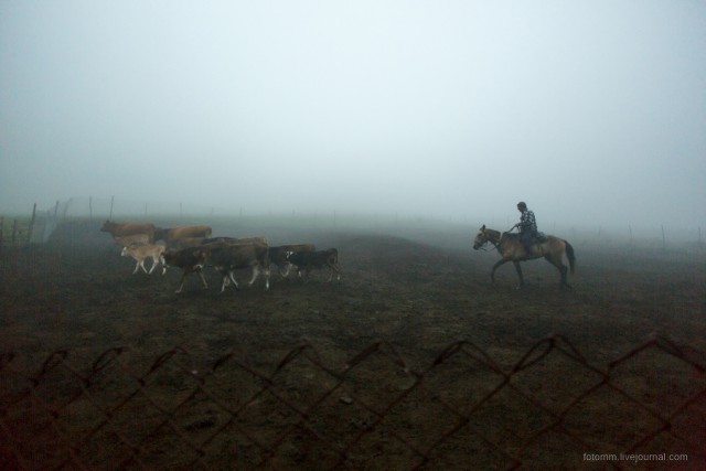 Кавказ на двух колесах