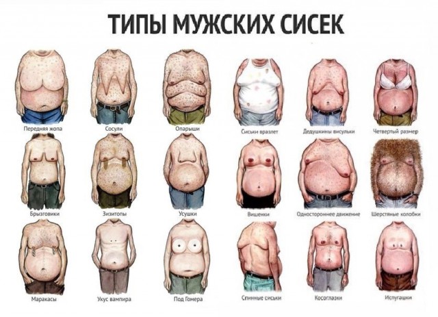10498727.jpg