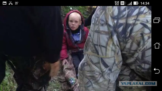 На Урале найден живым 4-летний мальчик, пропавший в лесу 10 июня