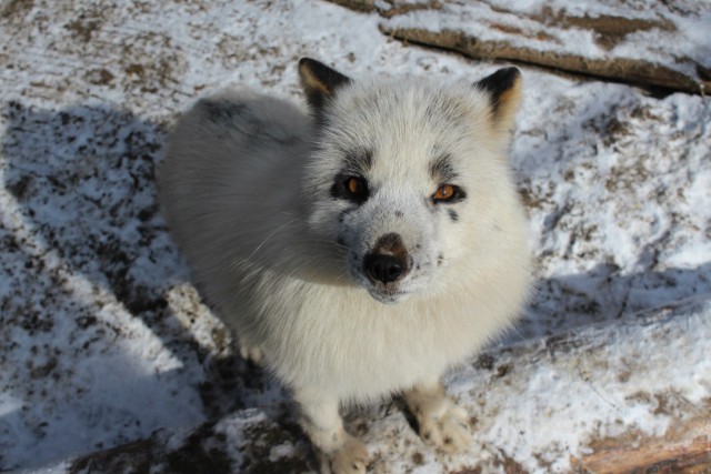 Веснушка, с Днём рождения!