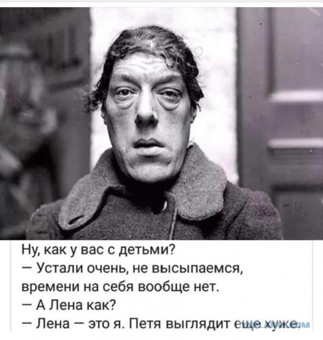 11960237.jpg