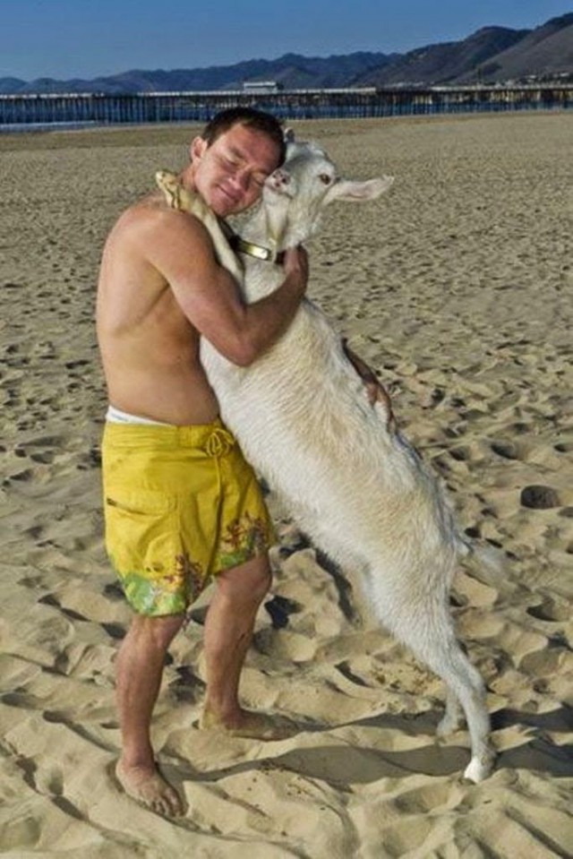 В Омской области на охоте случайно застрелили крупного бизнесмена, приняв его за козу