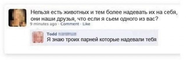 8424437.jpg