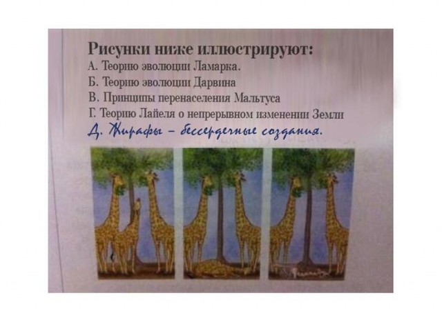 Великолепные ответы школьников, с которыми невозможно поспорить