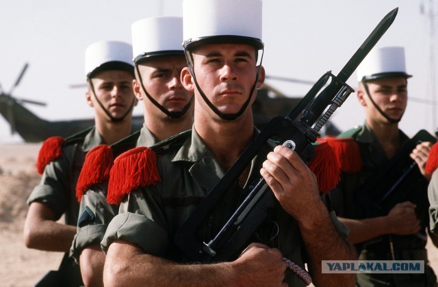 Солдаты французского Иностранного легиона официально направлены для участия в боевых действиях на Украине