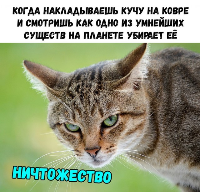 Немного картинок в этот четверг