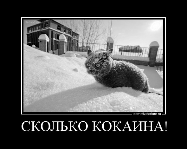 Зима, Россия, снег....