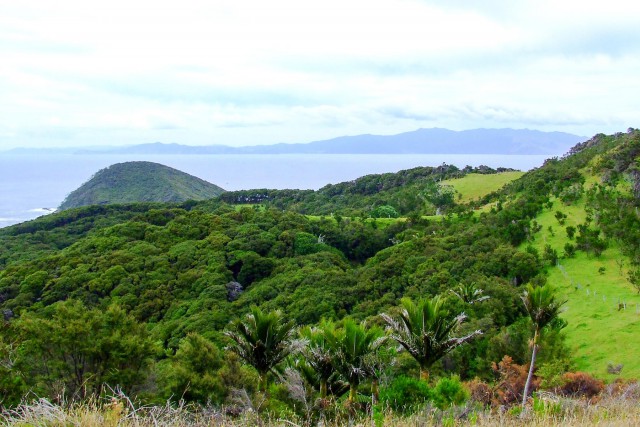 Great Barrier Island. Новая Зеландия.