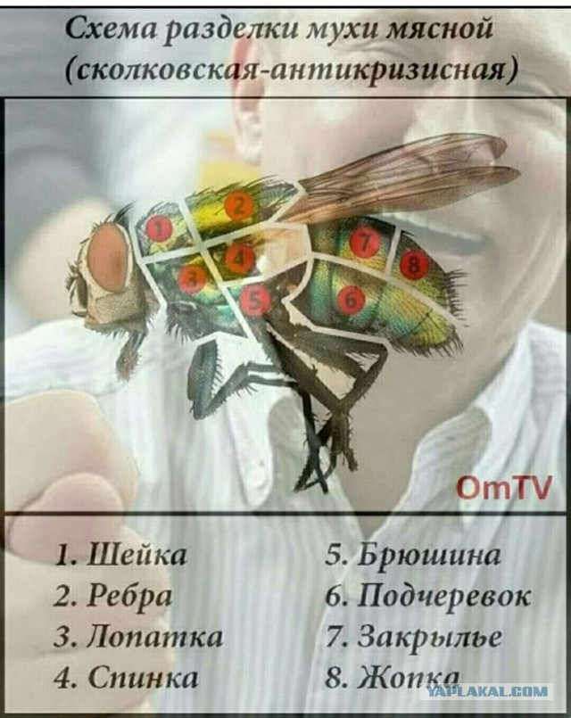 Не очень адекватный юмор