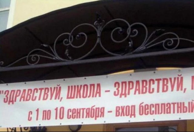 12995747.jpg