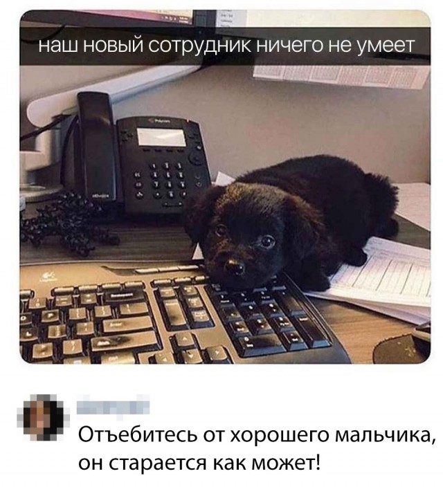 Нестандартный юмор