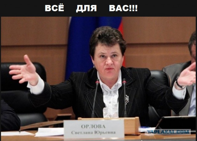 Светлана Орлова предложила ввести налог на сбор грибов и ягод