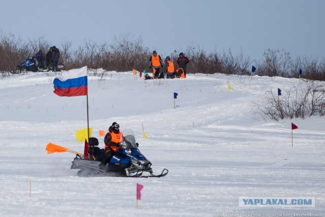 Буран- транспорт севера