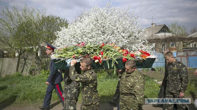 Два месяца на востоке Украины
