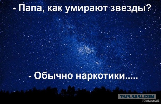 4639657.jpg