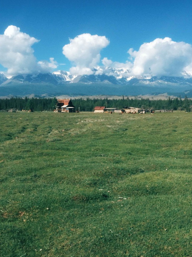 Поездка на Алтай