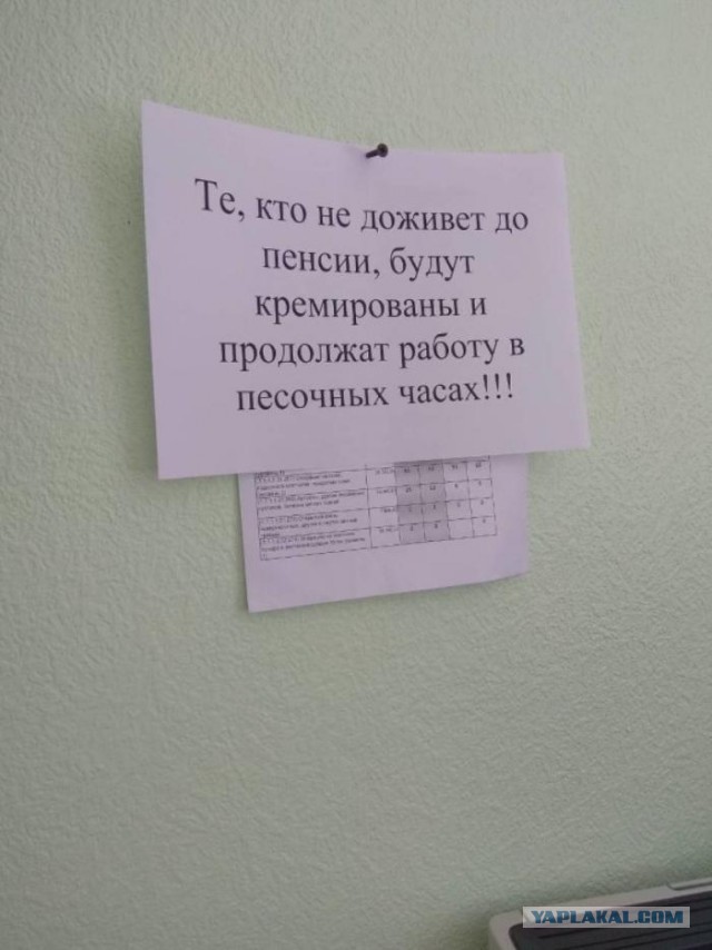 Полиция насчитала 3 тыс. человек на акции против пенсионной реформы в Москве