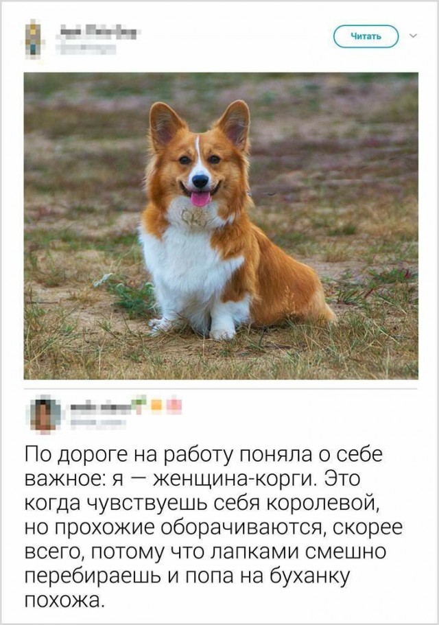 Бредзона