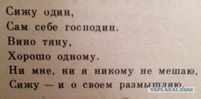 Прелести холостяцкой жизни