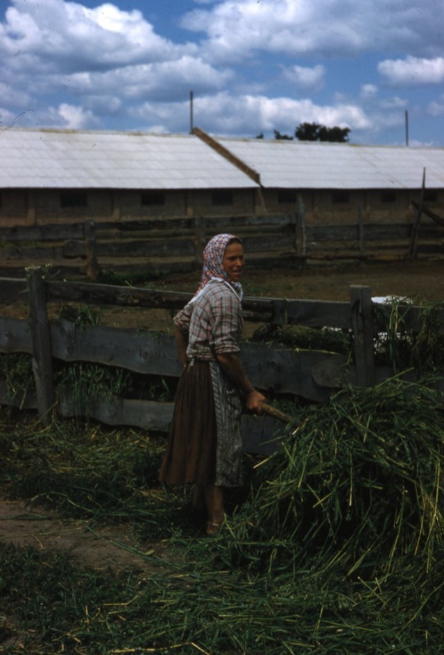 Лица советской эпохи  1957-64-72 гг.