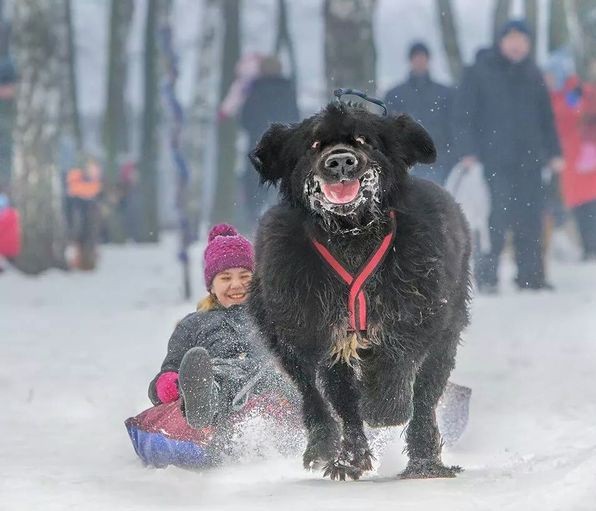 Эх, прокачу!