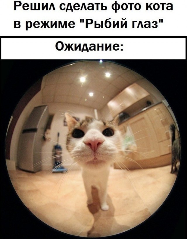 Как сделать прикольное фото с эффектами