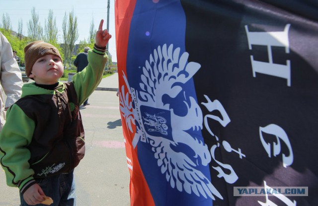 Сразу пять населенных пунктов подняли флаги ДНР