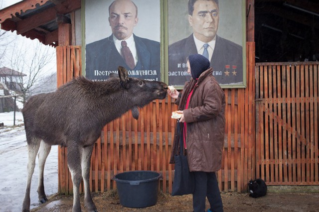 Подборка интересных и веселых картинок