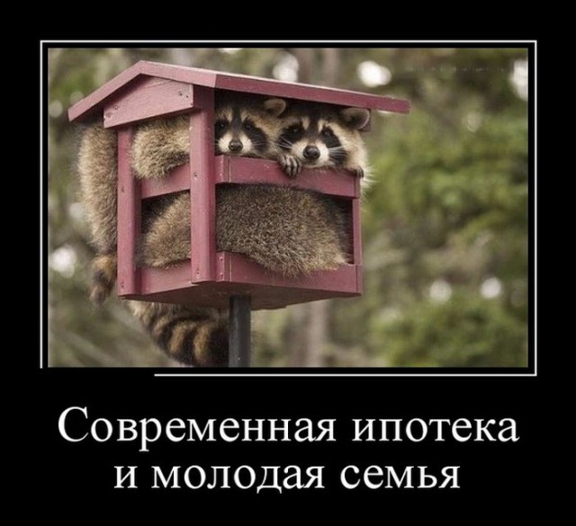 http://s00.yaplakal.com/pics/pics_preview/7/7/5/7654577.jpg