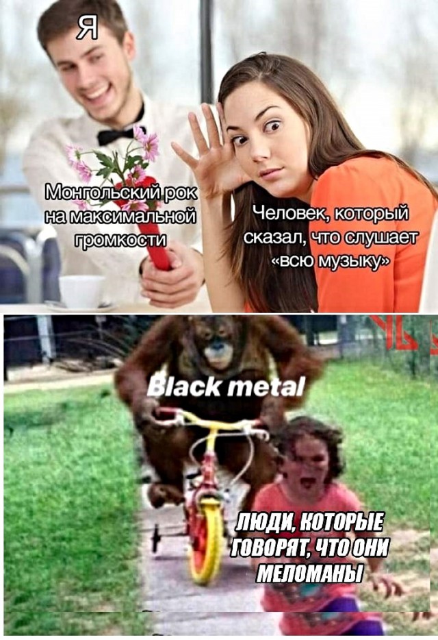 13224777.jpg