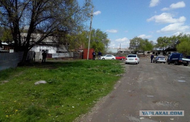 Трёхлетнюю девочку насмерть загрызли собаки в Алматы