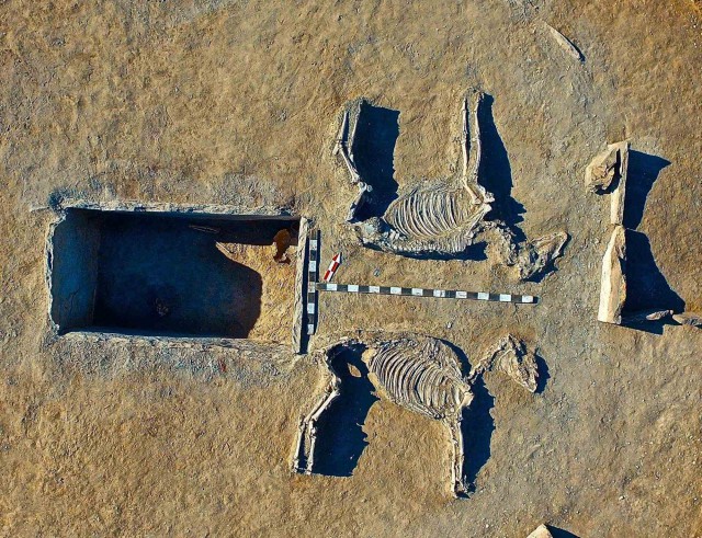 Пара из бронзового века, Казахстан. Мумии и скелеты 41