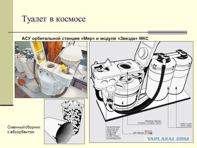 Как ведёт себя в космосе член?