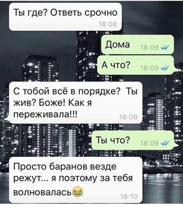 8385287.jpg