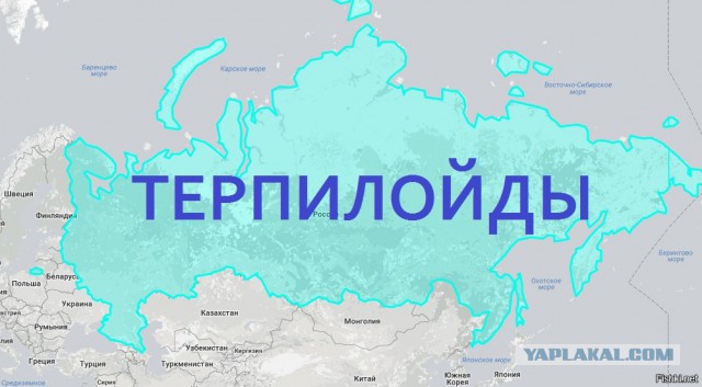 Социологи зафиксировали недовольство положением в стране у 45% россиян