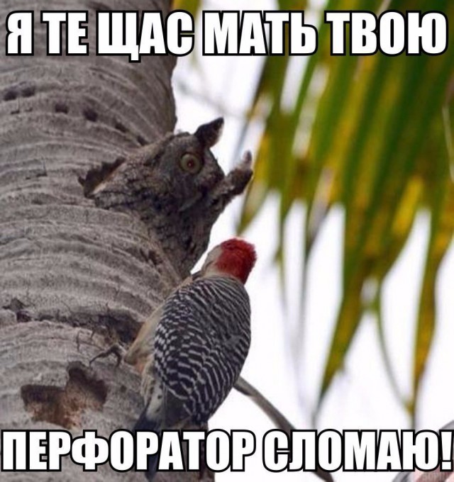 Картинки. Интересные, старые и не очень