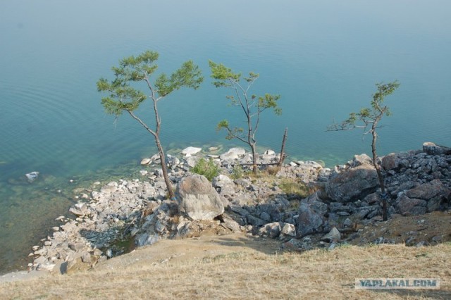 Челябинск-Байкал 2011