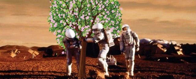 И на Марсе будут applони цвести