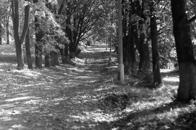 Фотополенка из 70х годов прошлого века