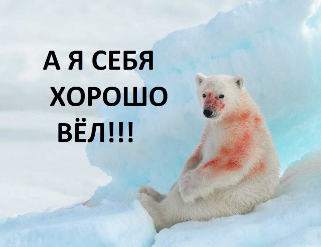 Фотограф из Чукотки: "Когда-нибудь меня съест белый медведь…"