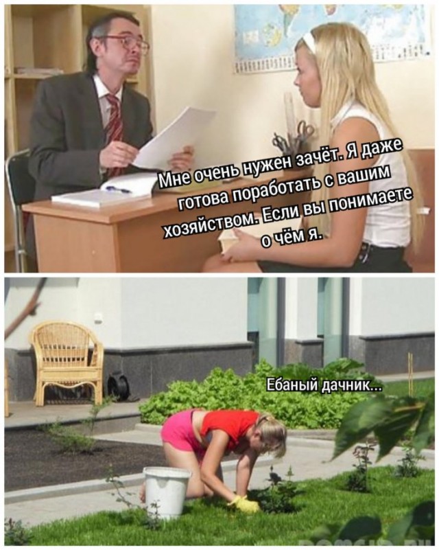 13588197.jpg