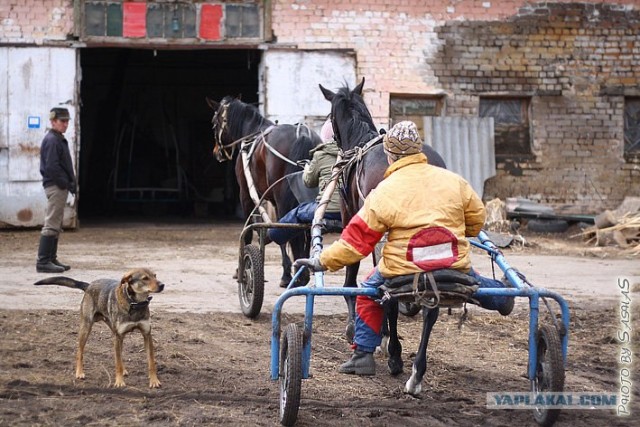 Об уничтожении самарского ипподрома