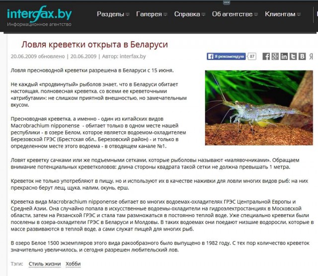 Вся правда о креветках из Беларуси