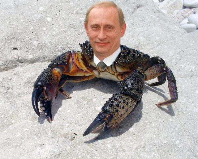 Россия может остаться сначала без крабов, а потом и без рыбы.