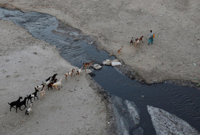 "Убийство" реки Ганг: от кристальной чистоты до ужасного загрязнения