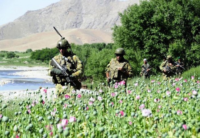 Афганских маководов с новым урожаем!