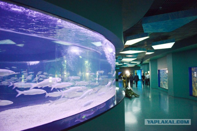 Центр океанографии и морской биологии