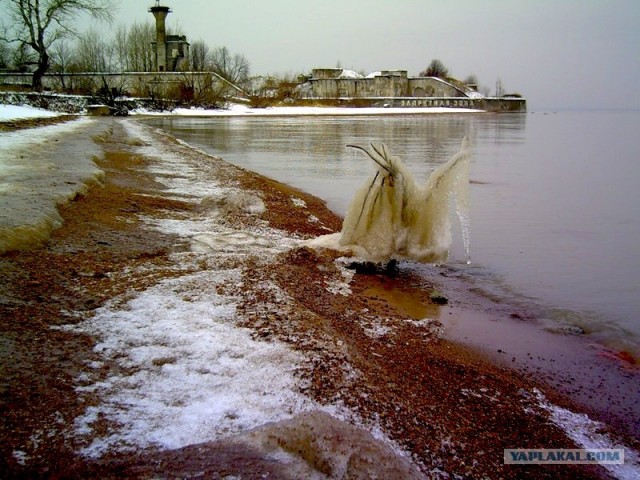 Запретная зона: Форт "Риф"